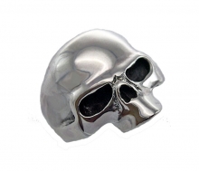 Half Skull